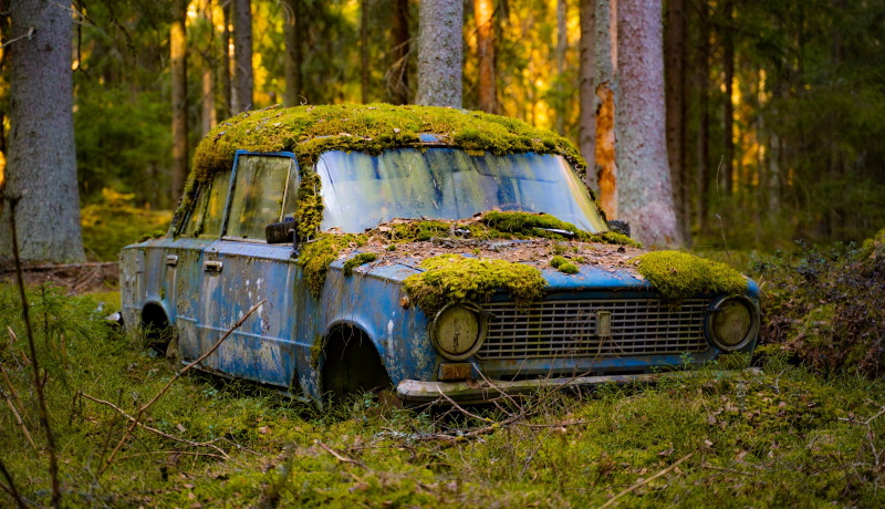 От Жигулей до Мерседеса: какие брошенные машины можно встретить в лесах  Финляндии
