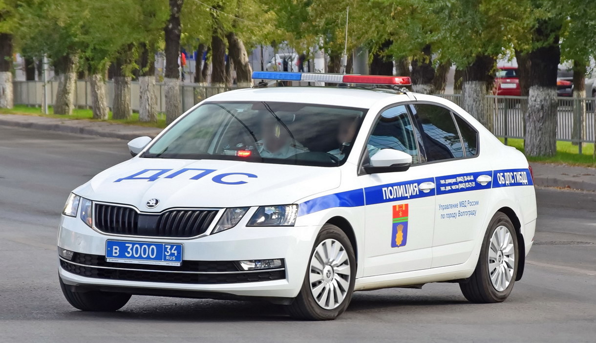 В конце 2019 года полиция получила почти четыре тысячи автомобилей Skoda Octavia