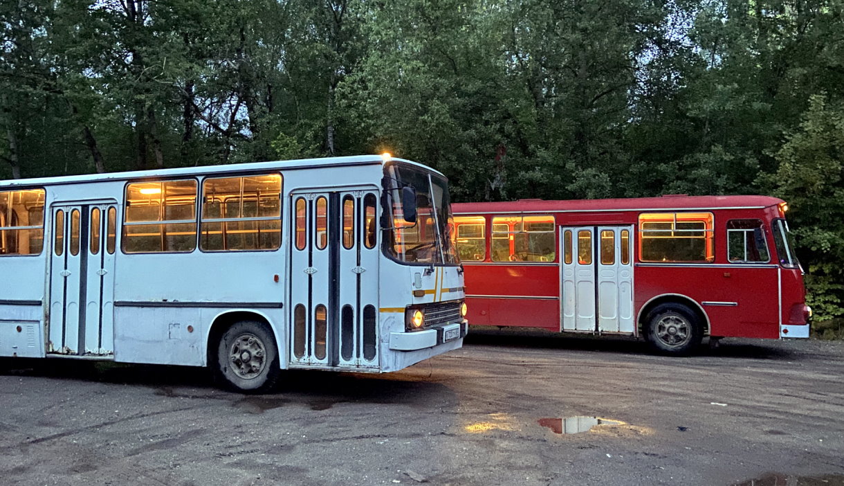 Унифицированная серия автобусов Ikarus Начало | НПАП №1 Икарус | Дзен