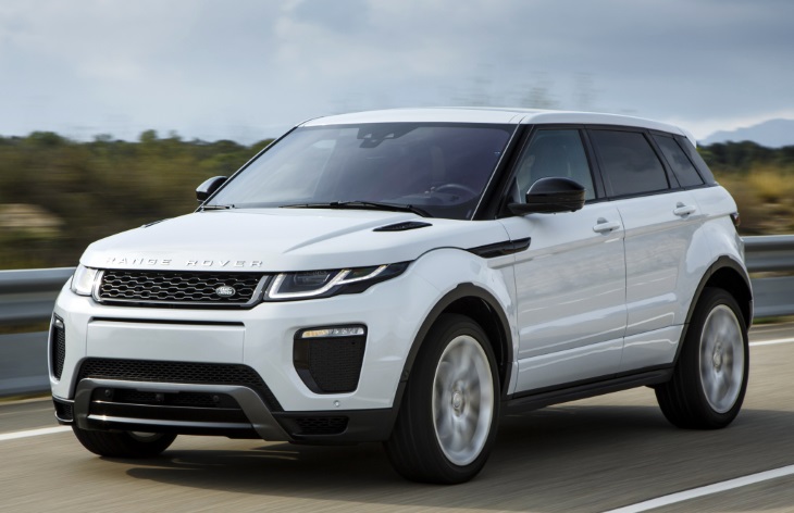 Rover Rover: обзор популярной сервисной службы
