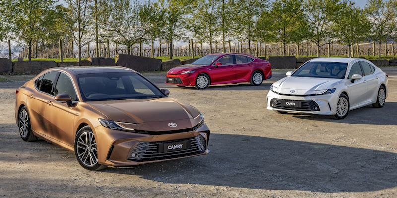 � ������ ����� ������� ������� �������� �����������. ����� ������ � �������?