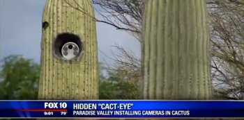 В Америке начали устанавливать камеры слежения в кактусы